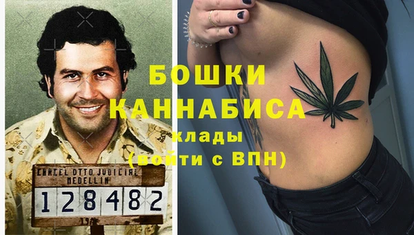 PSILOCYBIN Волоколамск